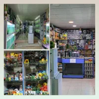 آکواریوم آرام (لوازم و ماهیان زینتی )