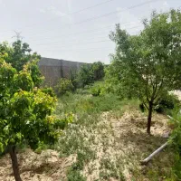 باغ ویلا ۱۱۴۰ متر دوردیوار کلاکوب