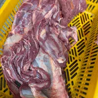 پخش عمده گوشت گوساله