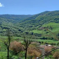 رهن-و-اجاره-اداری-50-متری-مرکز-شهر