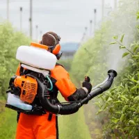 گوگرد پاش موتوری پشتی (پودر پاش)