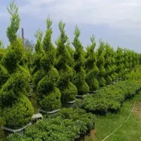 خدمات حرفه‌ای باغبانی و گلکاری سیار