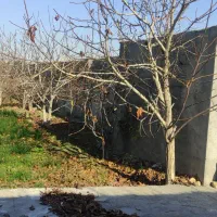 باغ توس ۹۷ معاوضه با خودرو|فروش زمین و ملک کلنگی|مشهد, صیدآباد|دیوار