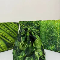 کیسه نگهداری سبزی