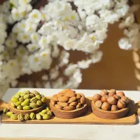 اردوخوری،ظروف سرو،آجیل خوری چوبی