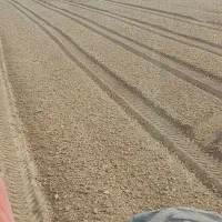 سنگ جمع کن تمام اتوماتیک|خدمات باغبانی و درختکاری|قیدار, |دیوار