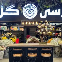 فروشنده خانم بازاریاب