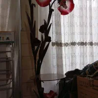 آواژور مدل لاله