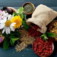 کاشت گیاهان دارویی