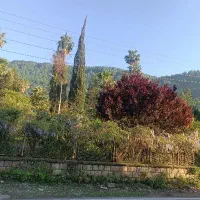 340 متر زمین بافت چالوس نمک آبرود میانکی