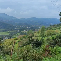 خانه-ویلایی