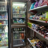 یخچال مغازه دو در