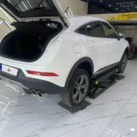 دیگنیتی پرستیژ خشک