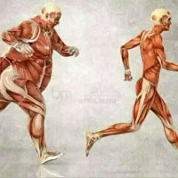 برا خانم هایی که بچه کوچک دارن