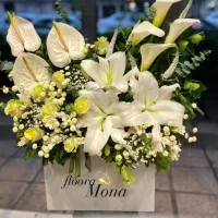 گلفروشی|گل و گیاه طبیعی|مشهد, راهنمایی|دیوار