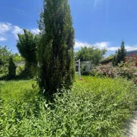 رهن و اجاره باغ ابتدای شاندیز(ویرانی)|اجارهٔ خانه و ویلا|شاندیز, |دیوار