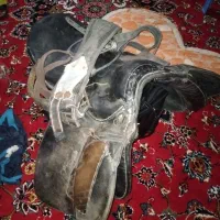 زین اسب انگلیسی