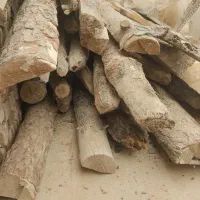 چوب|حراج|فسا, |دیوار