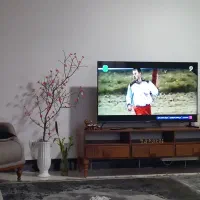 درخت  شکوفه