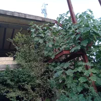 بنا نیمه ساخت