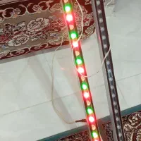 چراغ سه رنگ|لامپ و چراغ|سنندج, |دیوار