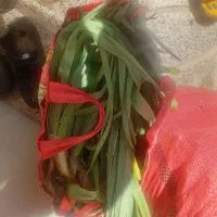 گزره. و لوه و کنگر و تره کوهی