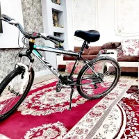 دوچرخه 26 ویوا|دوچرخه، اسکیت، اسکوتر|تربت‌حیدریه, باغ سلطانی|دیوار