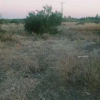 زمین فروشی محمود اباد روستای گوین