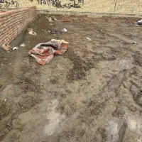 زمین-قولنامه-ای-کد-رهگیری-دار