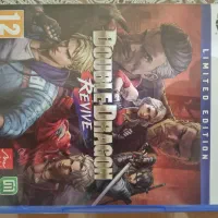 بازی جذاب و کمیاب Double dragon revive