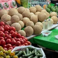 نیازمند کارگر  برای میوه فروشی