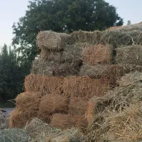علف|لوازم جانبی حیوانات|ارومیه, |دیوار