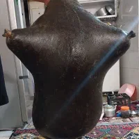 در ظروف نگهدارنده پلاستیکی|ظروف نگهدارنده، پلاستیکی، یک‌بارمصرف|گهواره, |دیوار