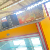 ویترینی|فروشگاه و مغازه|اسالم, |دیوار