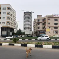 ( برج ۳۵ طبقه تاپ ایلند قشم )|فروش آپارتمان|قشم, |دیوار