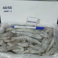 میگوپرورشی بوشهر|خوردنی و آشامیدنی|تهران, افسریه شمالی|دیوار
