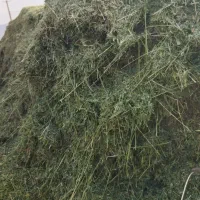 یونجه چین چهار|عمده‌فروشی|بروجرد, |دیوار