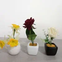 مجسمه های پلی استر زیبا،دونه ای۲۰ تومن|مجسمه، تندیس، ماکت|رشت, نظری|دیوار
