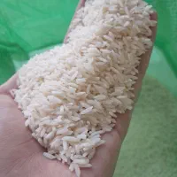 برنج کاملا ارگانیک و درجه یک محصول مزرعه خودم|خوردنی و آشامیدنی|رشت, باهنر|دیوار