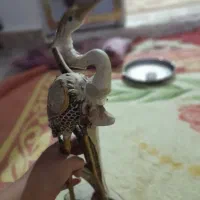 مجسمه قو دکوری