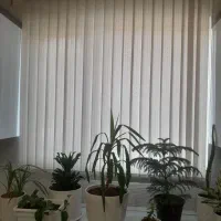 دو عدد پرده عمودی طوسی کمرنگ