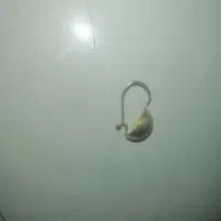 گوشواره گم شده بچگانه