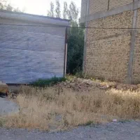 مغازه بر جاده سرو کنار روستای گنگچین