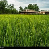 مزرعه سنتی 1700 متری موقعیت عالی