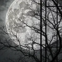 ضامن مهربانی