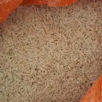 برنج درجه یک  1هاشمی دو الک شده گیلان انزلی|خوردنی و آشامیدنی|تهران, جمهوری|دیوار
