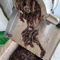 کشمش چرخ کرده