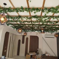 نقاشی ساختمان و رنگ امیزی|خدمات پیشه و مهارت|بوشهر, |دیوار