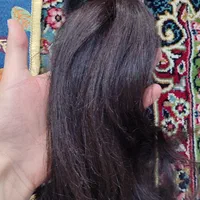 مو پنجا سانتی|آرایشی، بهداشتی، درمانی|مشهد, صیاد شیرازی|دیوار