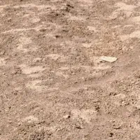 یک قطعه زمین 550 متری سند تک برگ